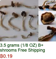 Silk Road Not Dead #329
