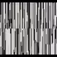 331