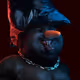 8159