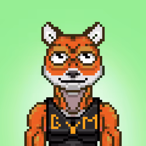 Meme Gym Club