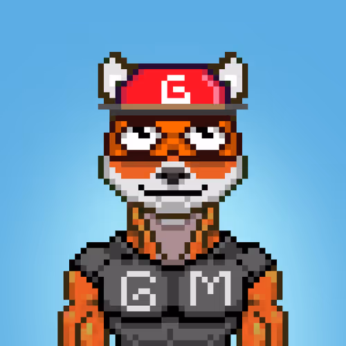 Meme Gym Club