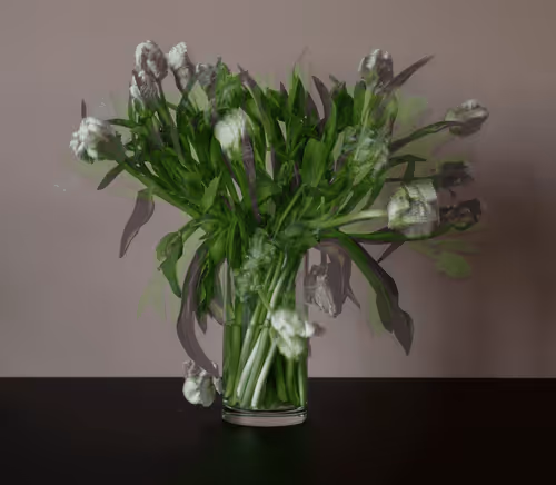 Stilllife2 0