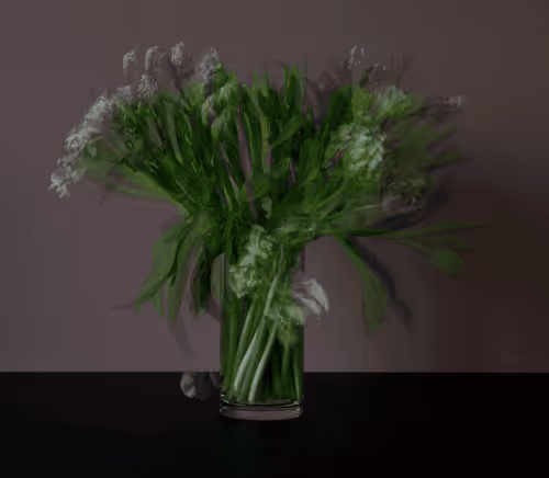 Stilllife2 0