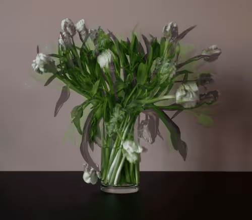 Stilllife2 0