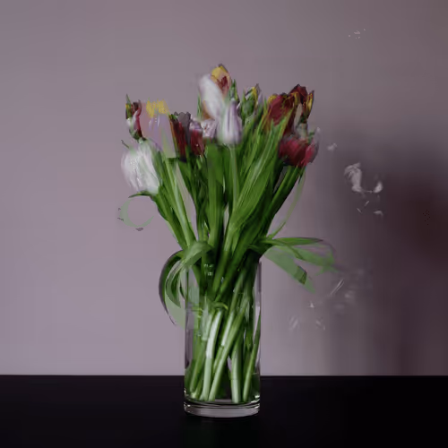 Stilllife2 0