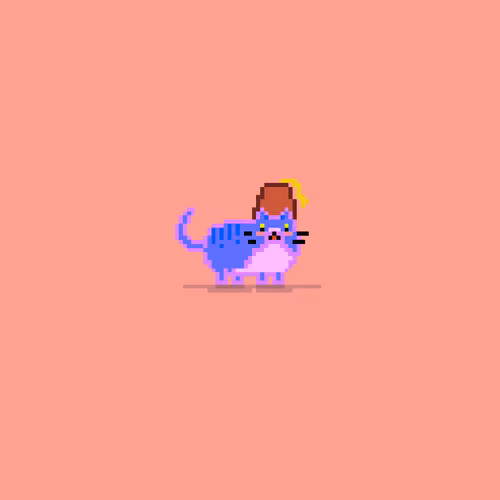 tiny tubby cats #800