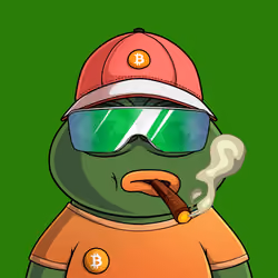 PEPE #3105