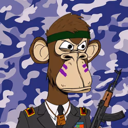 231