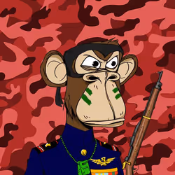 323