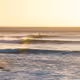MAKE WAVES V2