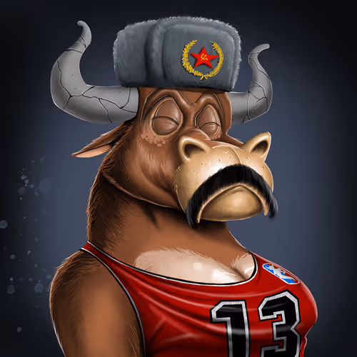 Bullsontheblock Evo