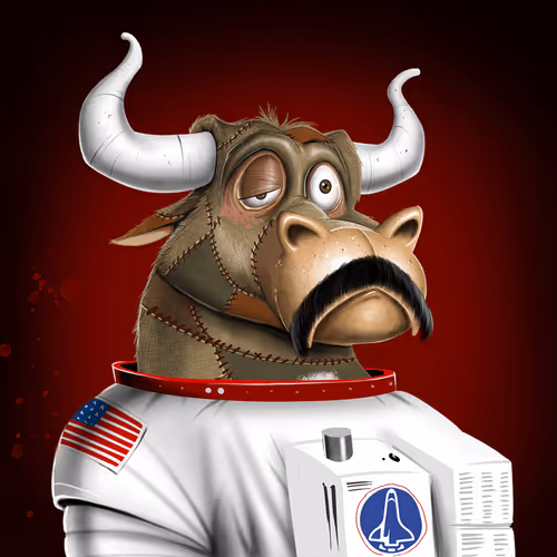 Bullsontheblock Evo