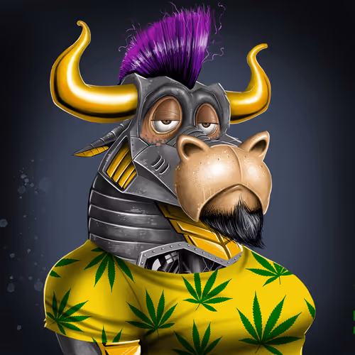 Bullsontheblock Evo