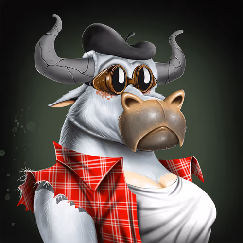 Bullsontheblock Evo
