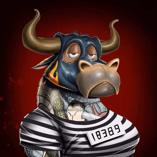 Bullsontheblock Evo