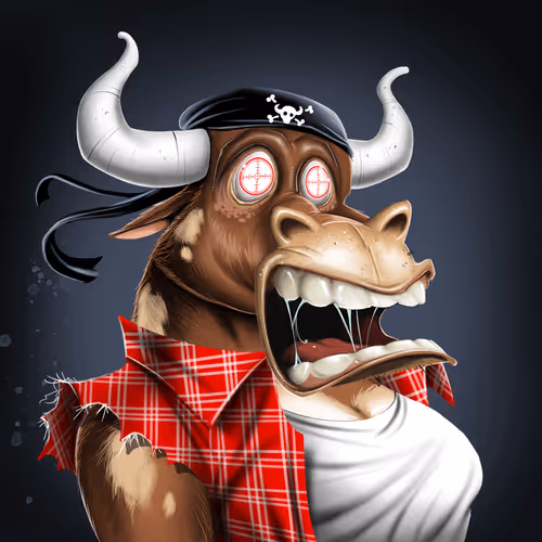 Bullsontheblock Evo
