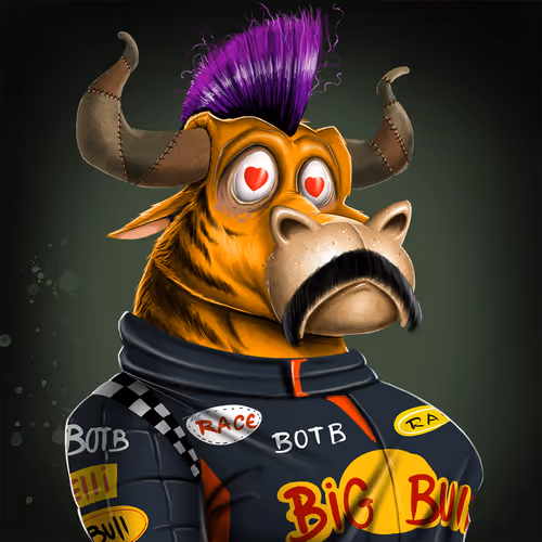 Bullsontheblock Evo