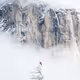 Thank You Yosemite