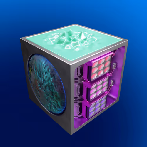 Item #353 Media