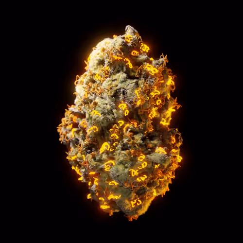 Look Labs 420 Gen1 Buds