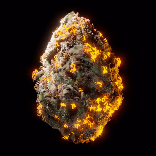 Look Labs 420 Gen1 Buds