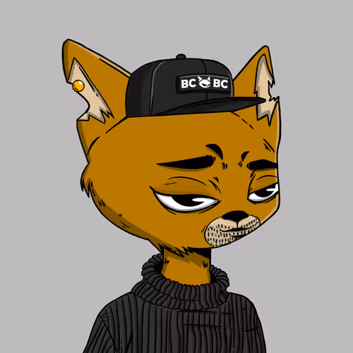 Boredcatboatclub