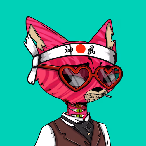 Boredcatboatclub