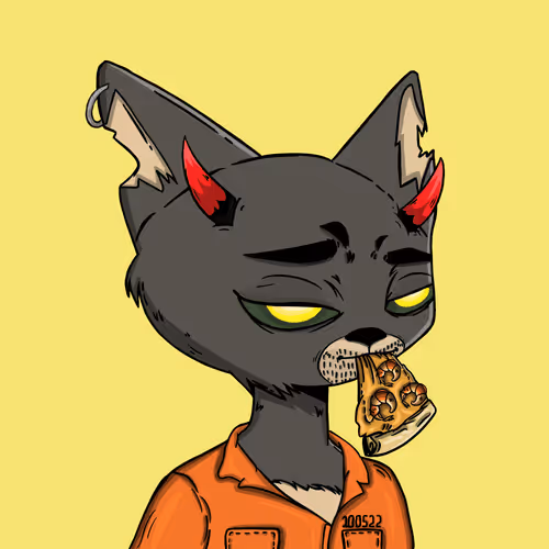 Boredcatboatclub