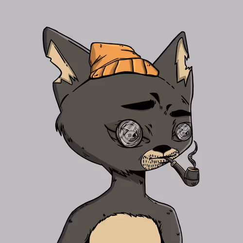Boredcatboatclub