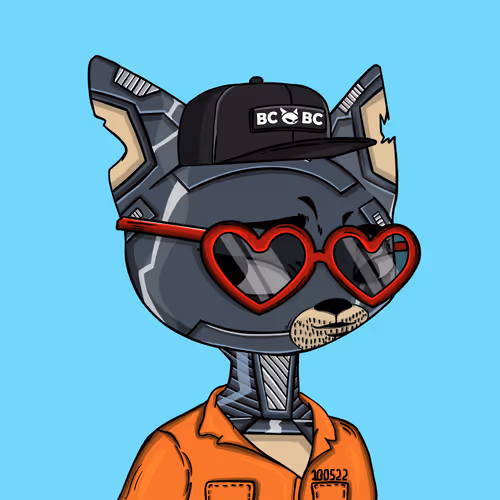 Boredcatboatclub