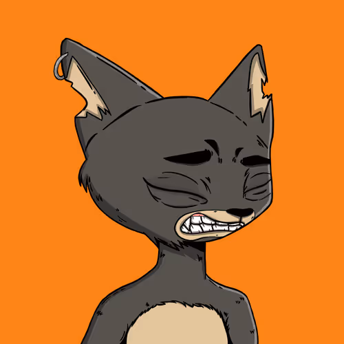 Boredcatboatclub