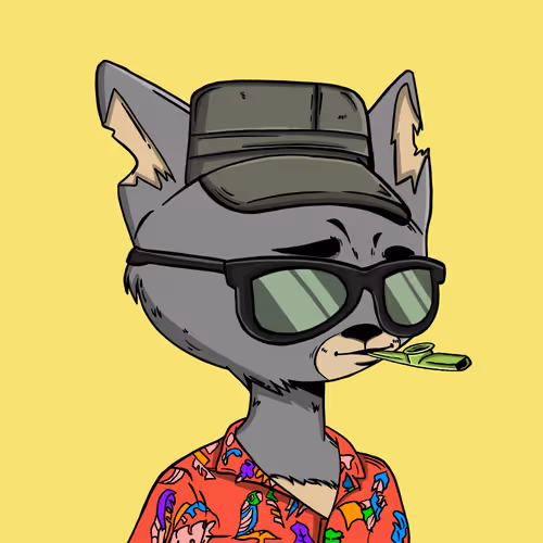 Boredcatboatclub