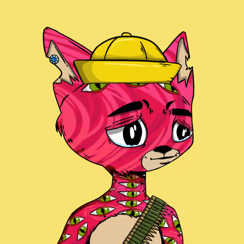 Boredcatboatclub