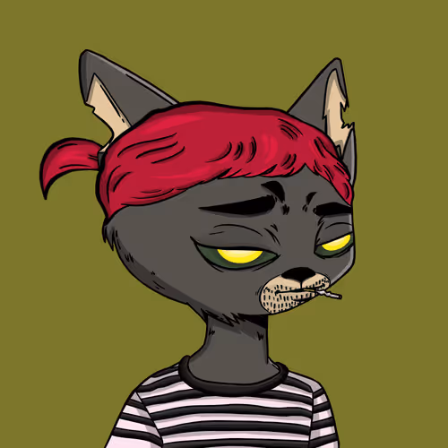 Boredcatboatclub