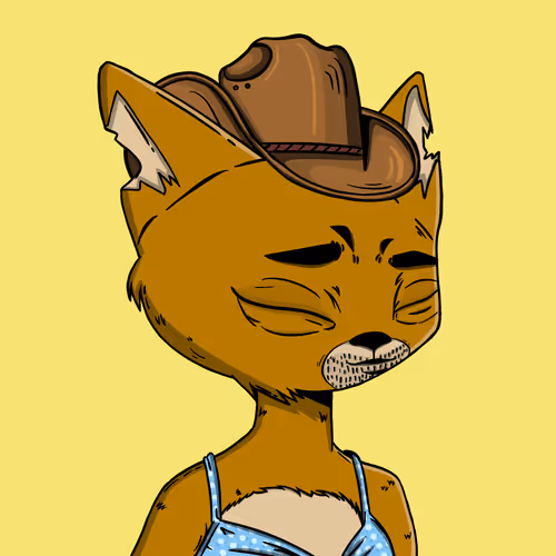 Boredcatboatclub