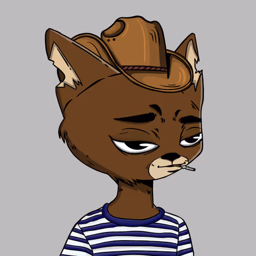 Boredcatboatclub