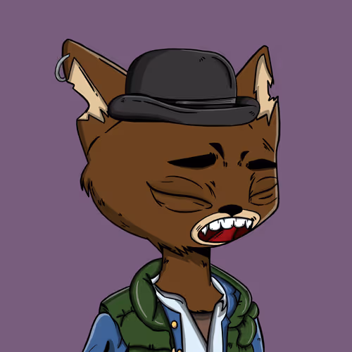 Boredcatboatclub