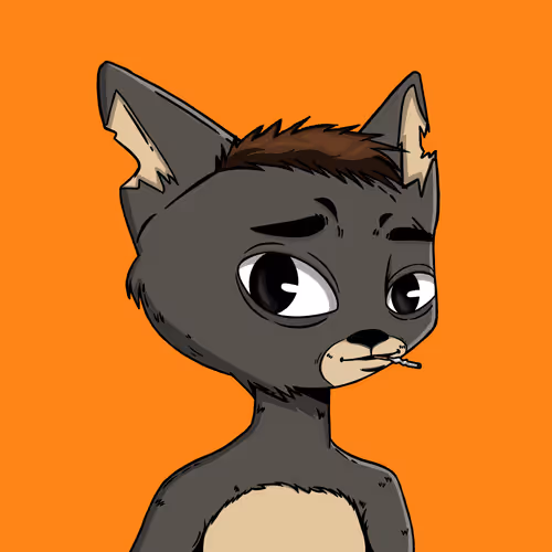 Boredcatboatclub