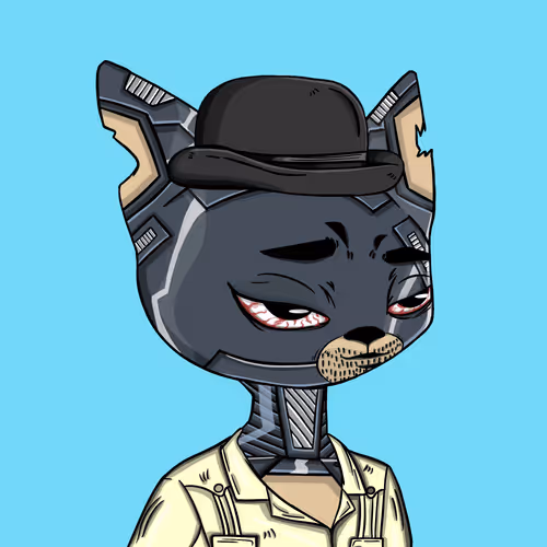 Boredcatboatclub