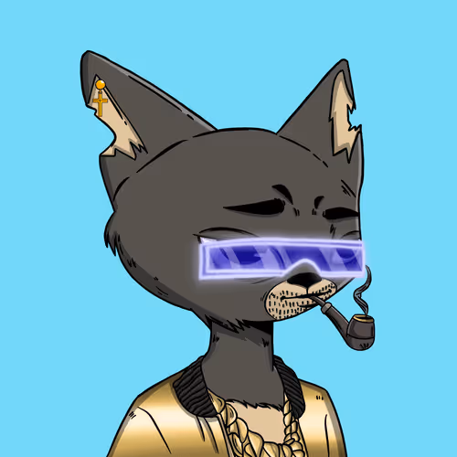 Boredcatboatclub