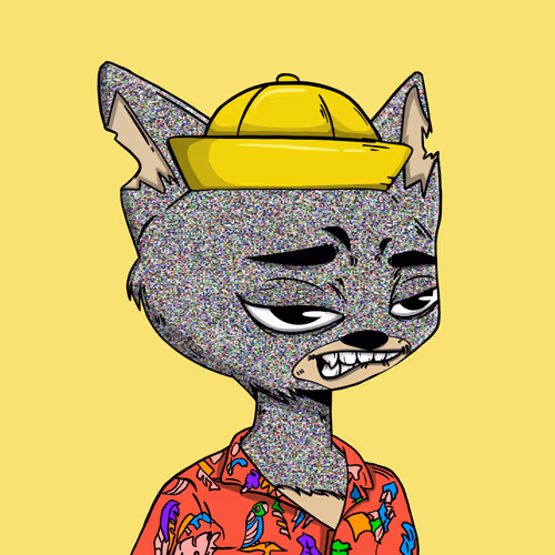Boredcatboatclub