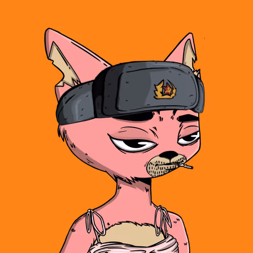 Boredcatboatclub