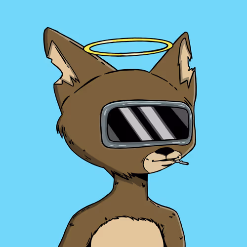 Boredcatboatclub