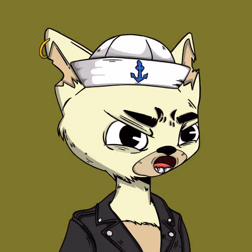 Boredcatboatclub