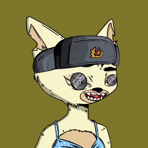 Boredcatboatclub