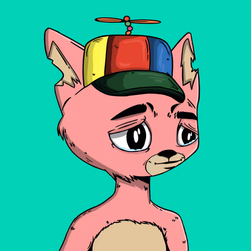 Boredcatboatclub