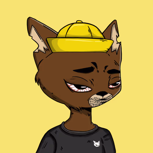 Boredcatboatclub