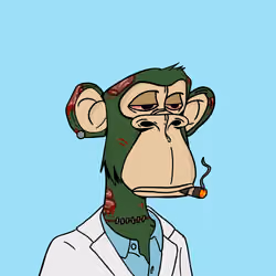 Injured Apes #4734