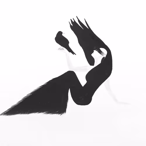 Black Bird V4 1