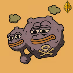 41